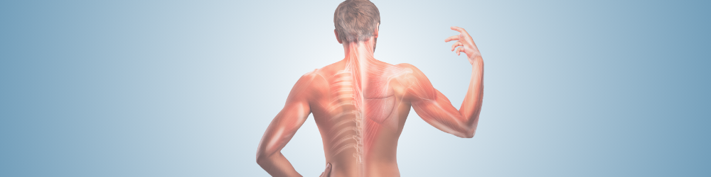 Diagnostic et traitement du système myo-fascio-articulaire (Jean-Pierre Dessaint et Jean Peyrière)