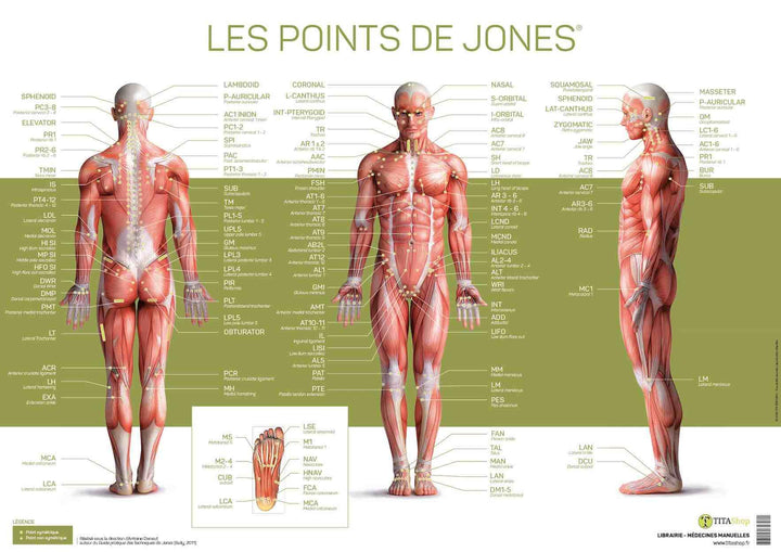 Les points de Jones - poster (70x50cm)