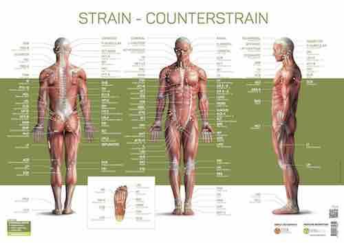 Les points de Jones - poster (70x50cm)