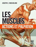 Les muscles : actions et palpations (Muscolino)